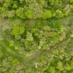 000 Bee Creek Road  Pearl IL 62361