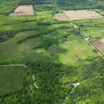 00 Bert Road  Golconda IL 62985
