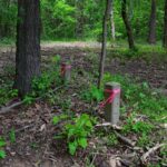 002 Battleford Road  Stonefort IL 62987