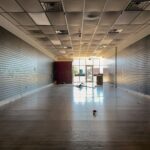 2520 DIRKSEN Parkway  Springfield IL 62702