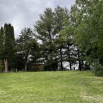 22954 245TH Street  Eldridge IA 52748