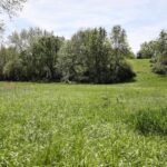 000 US 24 Highway  Lewistown IL 61542