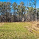 4868 Foxtail Ln 0 Lane  Tamaroa IL 62888