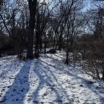 601 6TH Street  Coal Valley IL 61240