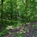 000 Battleford Road  Stonefort IL 62987
