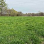 415 PIN OAK Lane  Cypress IL 62923