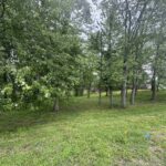 000 DOUGLAS Street  Marion IL 62959