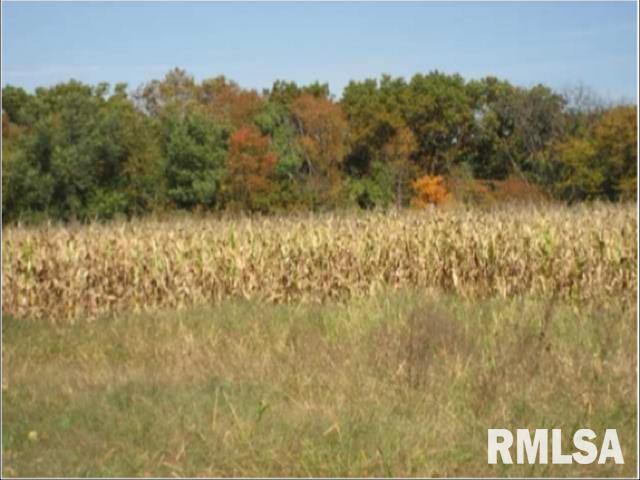 000 SINGING WOODS Road  Edelstein IL 61526