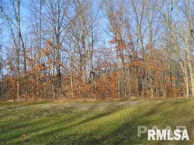 300-Lot 18 GREENVIEW Drive  East Peoria IL 61611
