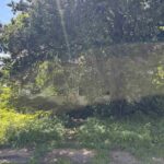 301 5TH Street  Elkville IL 62932