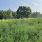 Lot 258 OAK RUN Drive  Dahinda IL 61428