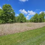 Lot 41 DEER PARK Drive  Dix IL 62830