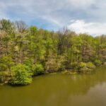 Lot 142 & 143 CHERRY Point  Goreville IL 62939