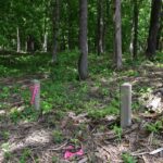 003 Battleford Road  Stonefort IL 62987
