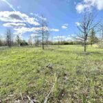 000 County Road 950 Road  Cisne IL 62823