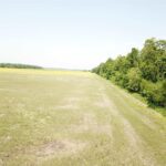 000 County Road 275 E Road  Keenes IL 62851
