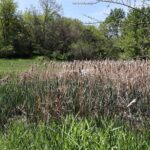 000 US 24 Highway  Lewistown IL 61542