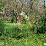 425 WASHINGTON Street  Dix IL 62830