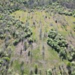 000 County Road 950 Road  Cisne IL 62823