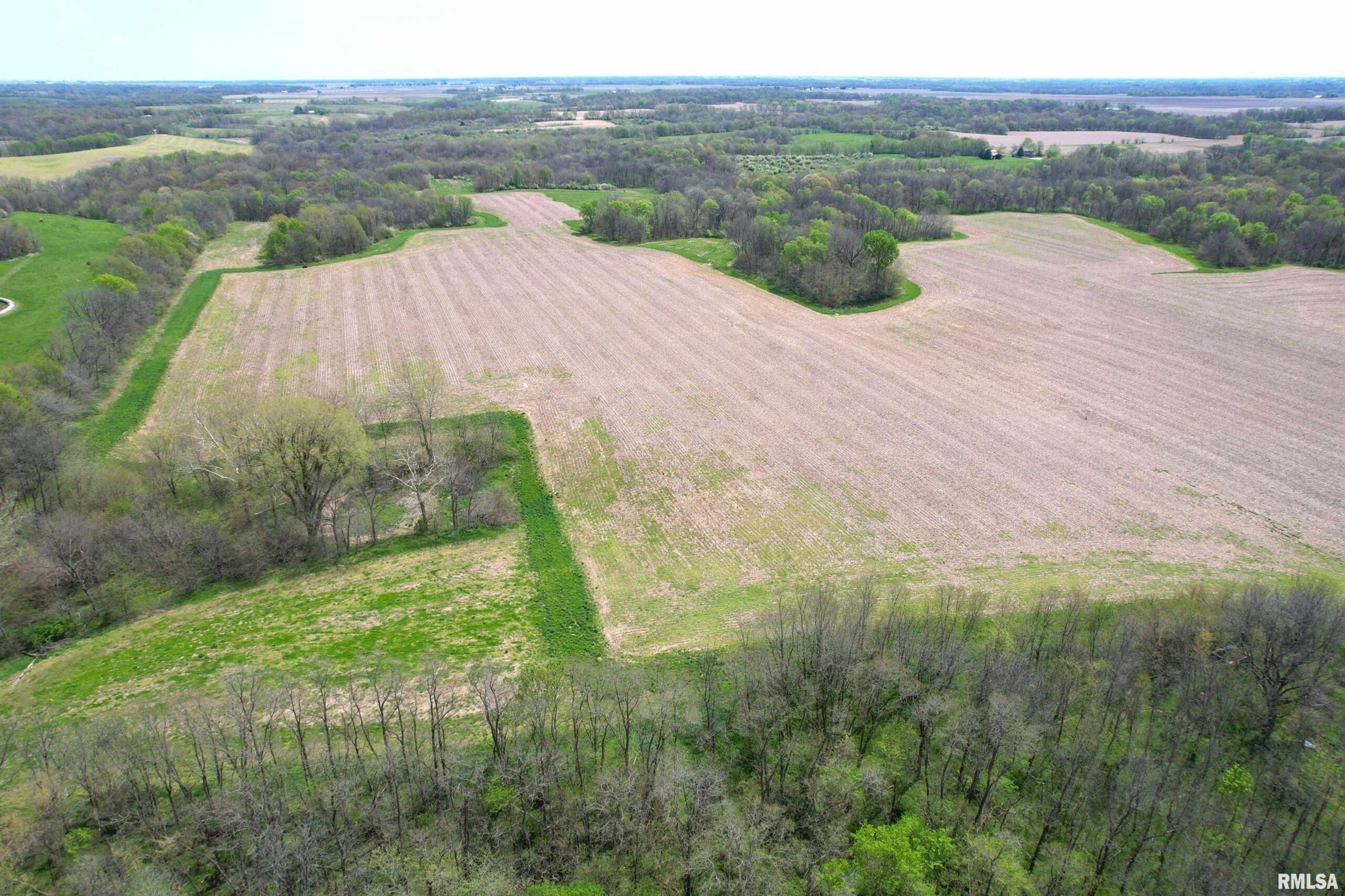 Hammer Road  Concord IL 62631