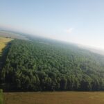 000 County Road 275 E Road  Keenes IL 62851