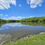 Lot 41 DEER PARK Drive  Dix IL 62830