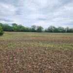 812 GREENGOLD Road  Hanna City IL 61536