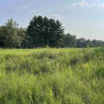 Lot 258 OAK RUN Drive  Dahinda IL 61428