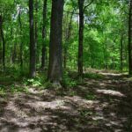 001 Battleford Road  Stonefort IL 62987
