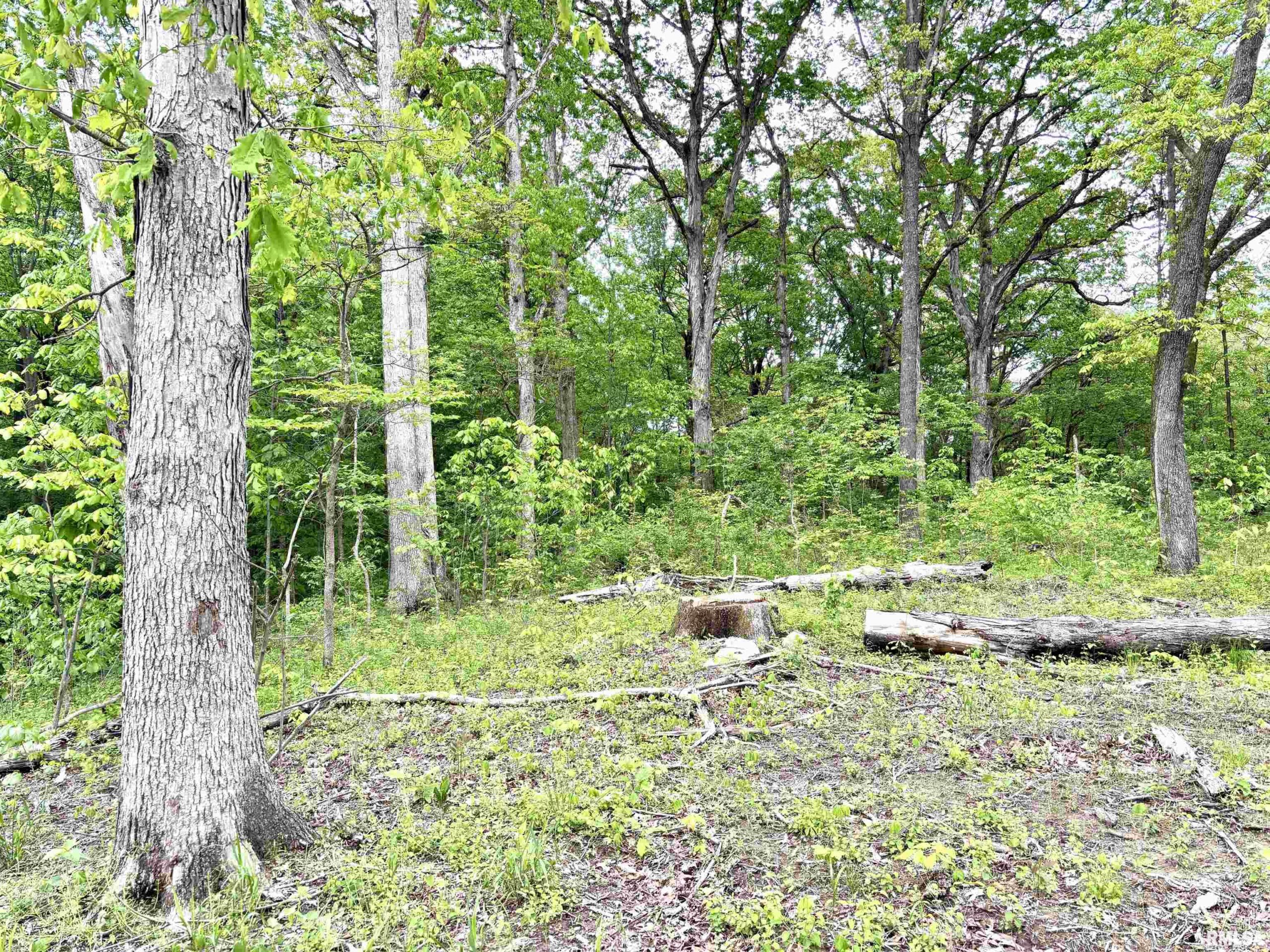 14560 Loyola Road  Mt Vernon IL 62864