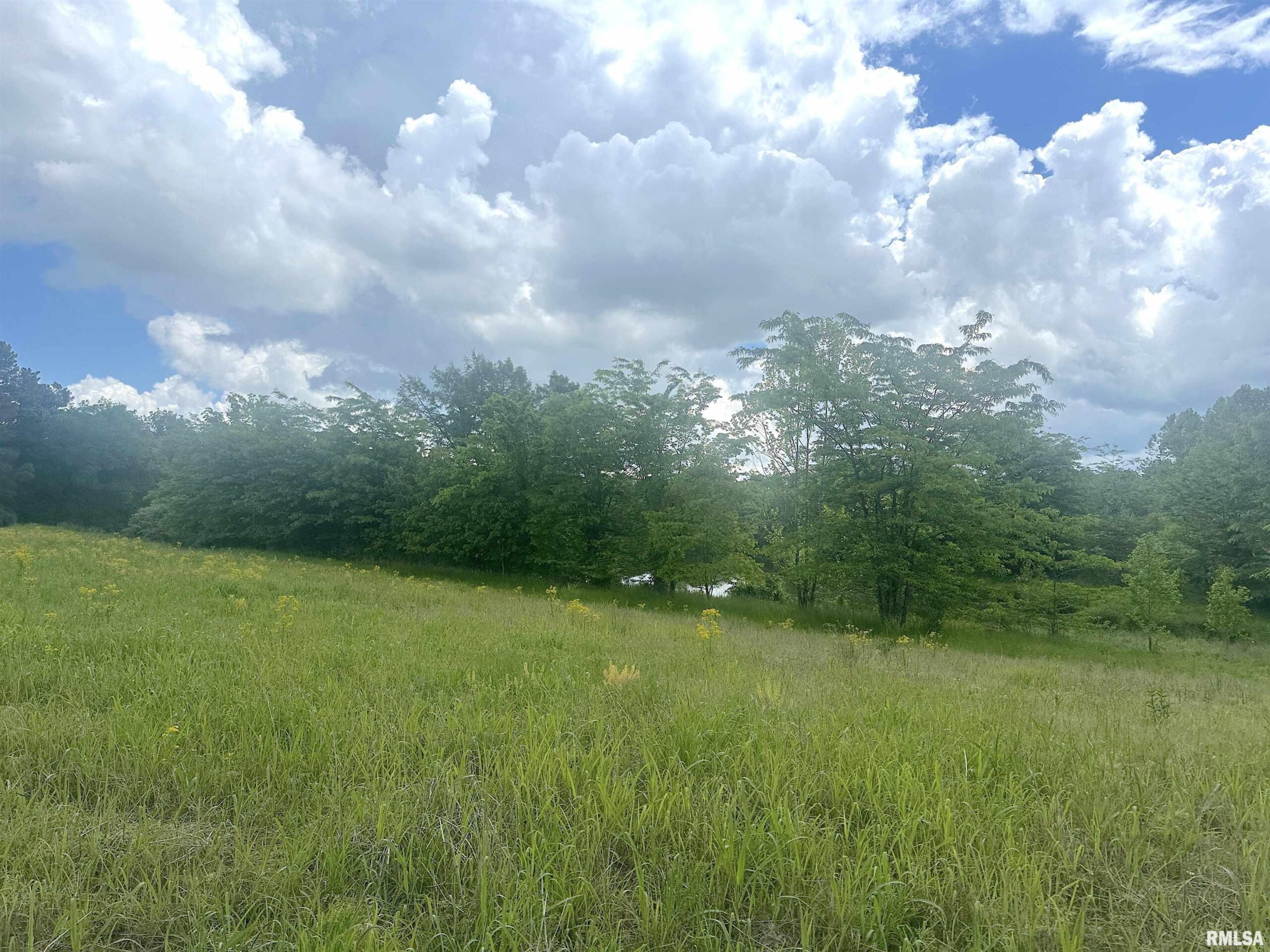 1 Minetree Lane  Carbondale IL 62903