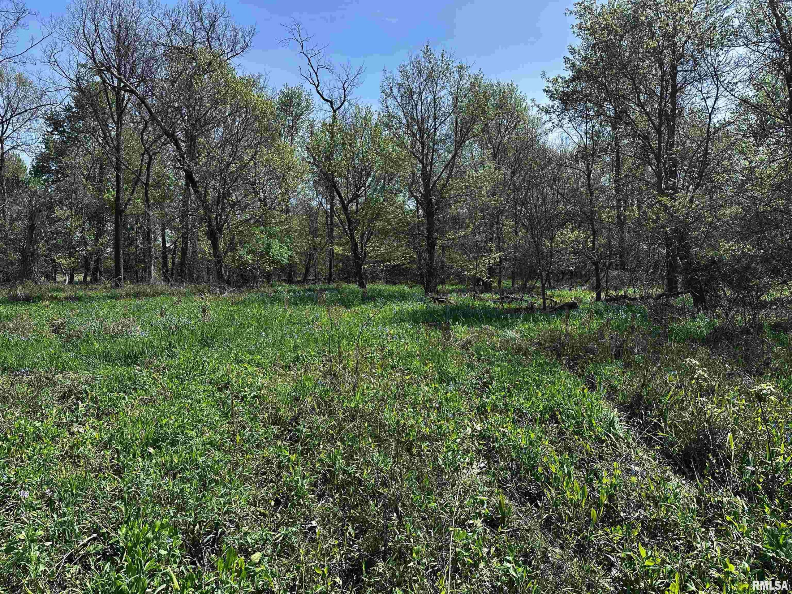 1812-1890 Hazel Dell Road  Greenup IL 62428