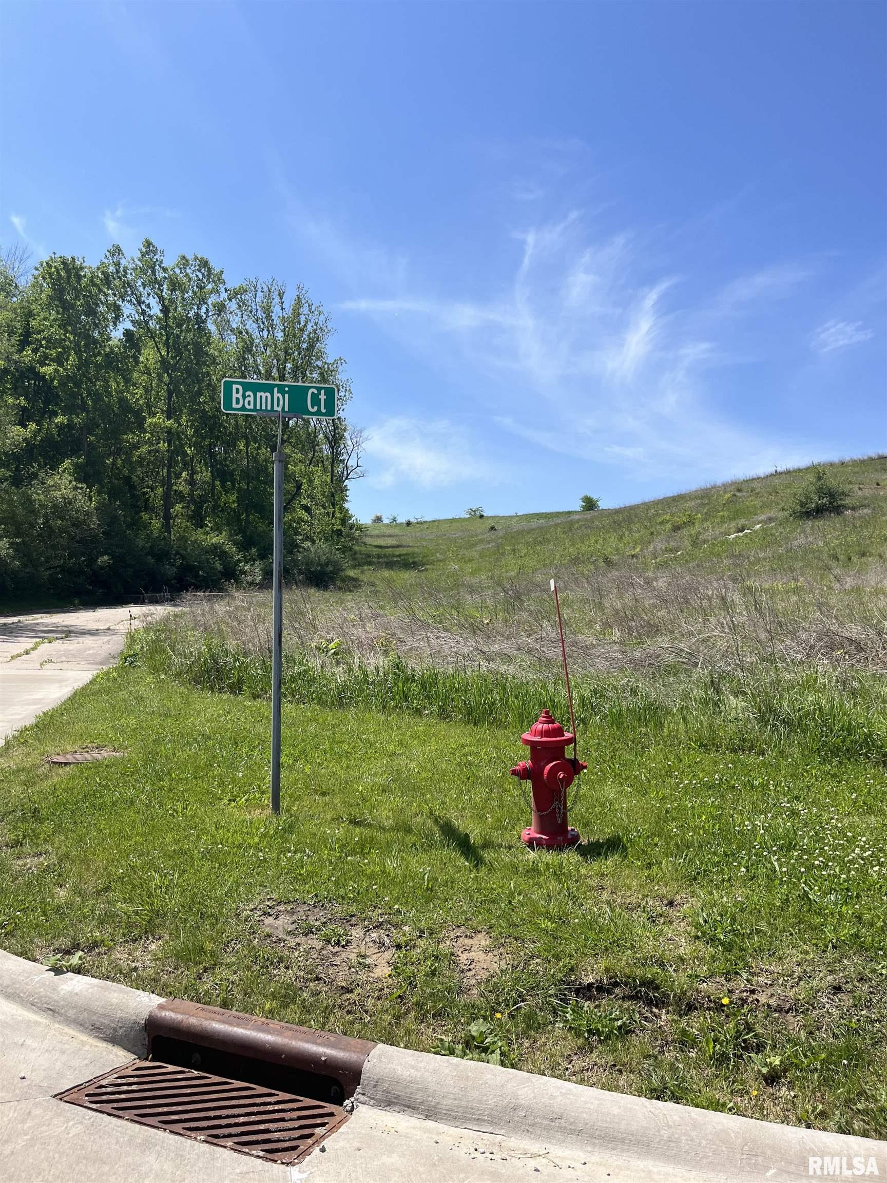 724 BAMBI Court  Andalusia IL 61232