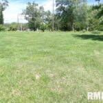 509 WALNUT Street  Carrier Mills IL 62917
