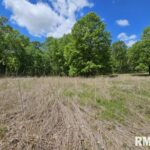 Lot 41 DEER PARK Drive  Dix IL 62830