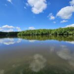 Lot 2 WILDWOOD Place  Dix IL 62830