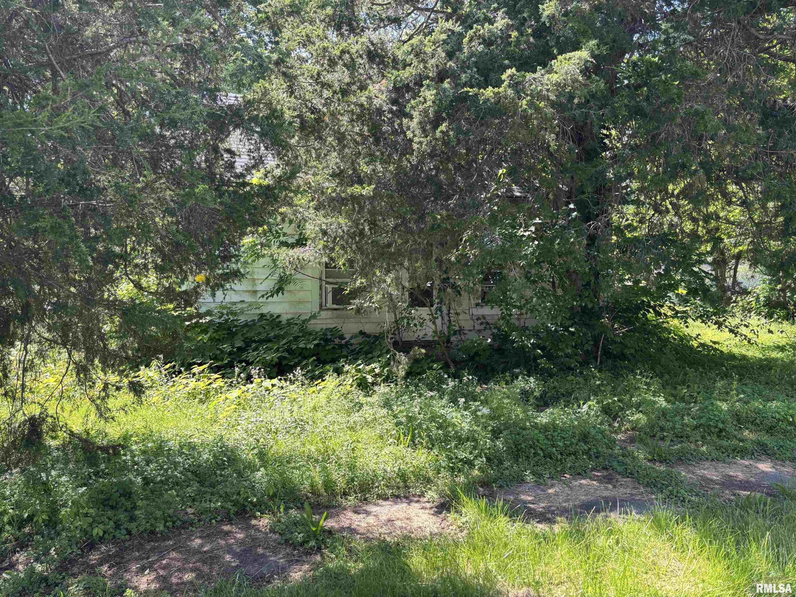 301 5TH Street  Elkville IL 62932