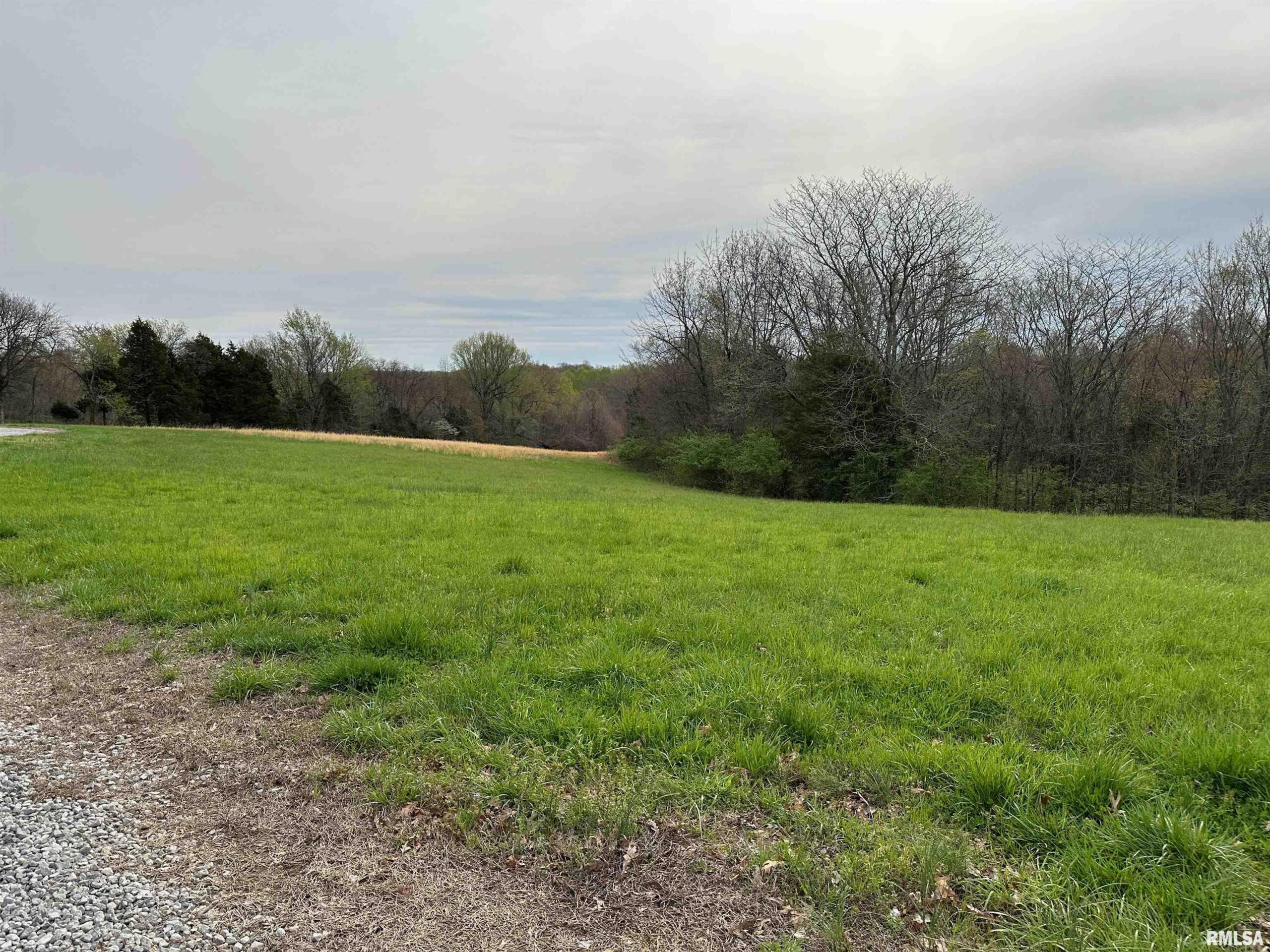 415 PIN OAK Lane  Cypress IL 62923