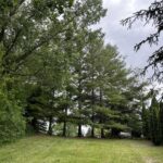 22954 245TH Street  Eldridge IA 52748