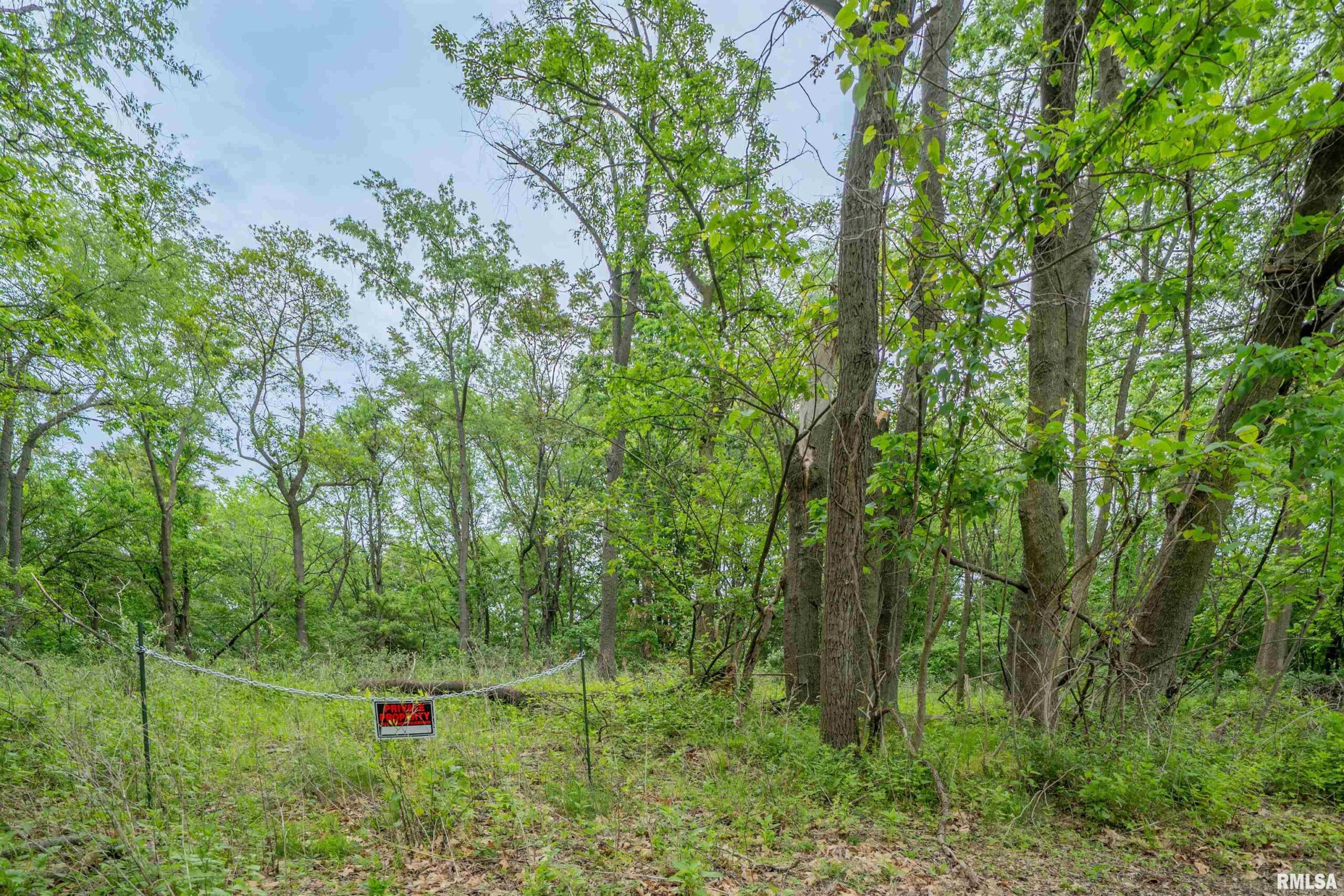STEWART Street  Creve Coeur IL 61610