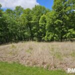 Lot 41 DEER PARK Drive  Dix IL 62830