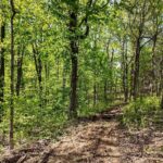 705 Webb Town Road  Tunnel Hill IL 62972