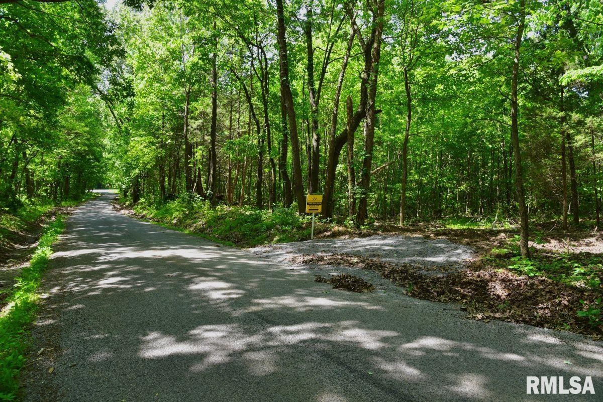 001 Robinson Hill Road  Stonefort IL 62987