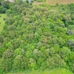 6251 US 45 Road  Brookport IL 62910
