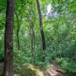 #8 HARP HOLLOW Road  Peoria IL 61607