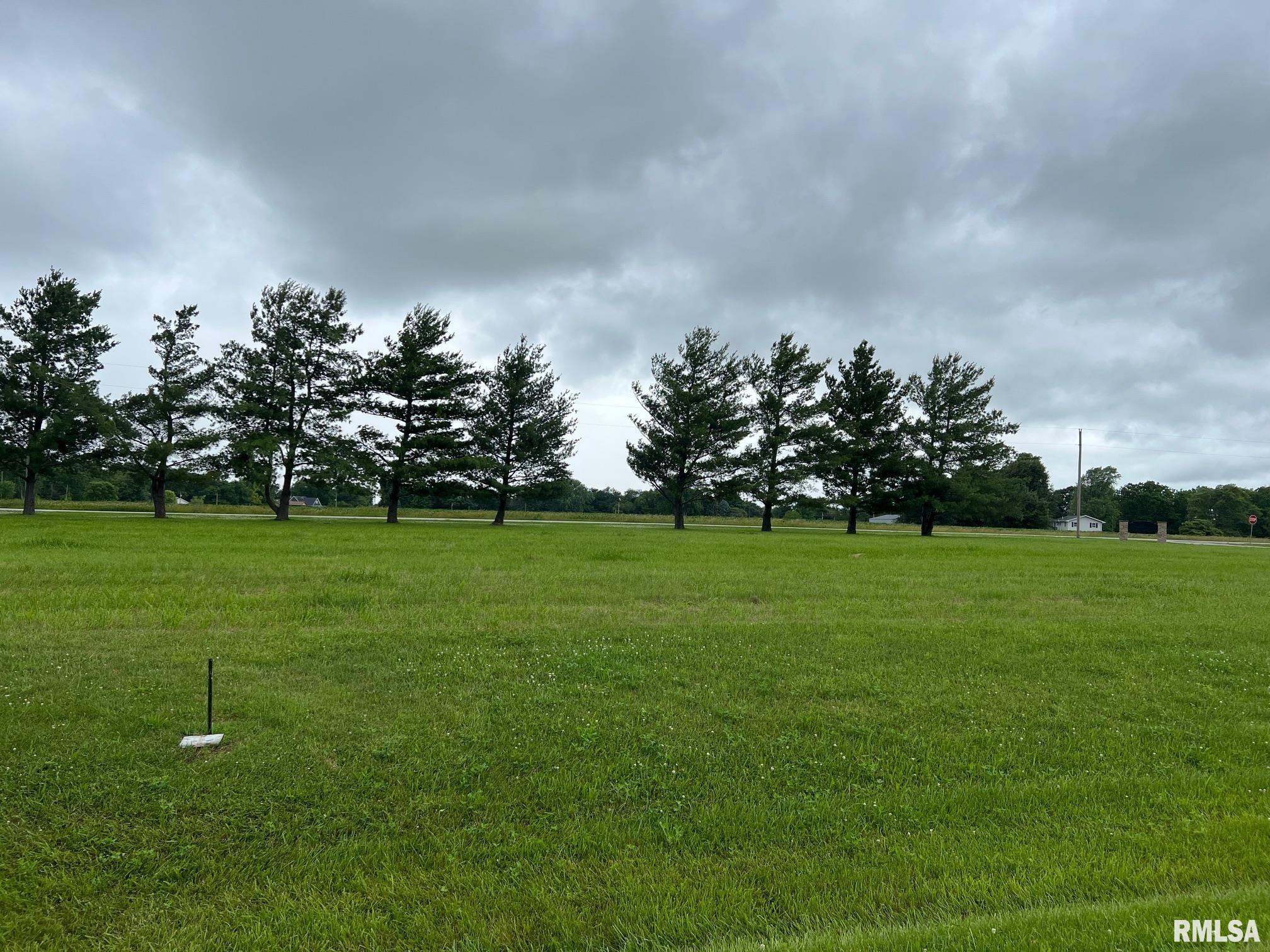 Lot 21 Guinan Street  Petersburg IL 62675