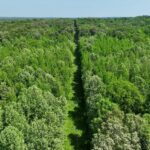 002 Robinson Hill Road  Stonefort IL 62987