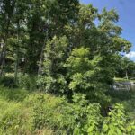 1135 LAKESHORE Drive  Goreville IL 62939