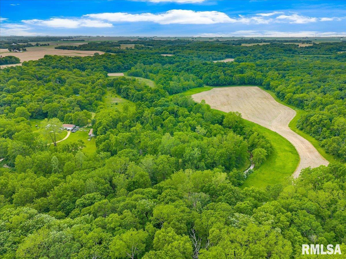 FANTASY Lane  Chillicothe IL 61523