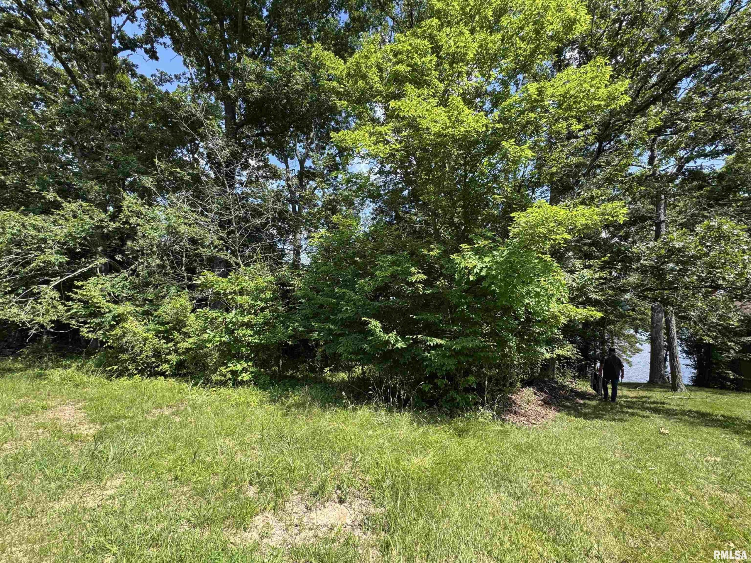 0000 LAKESHORE Drive  Goreville IL 62939